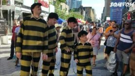 circus-events-montreal-2