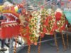 Montreal-Dragon-boat-race-Chinese-Parc Jean-drapeau-Part-2
