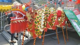Montreal-Dragon-boat-race-Chinese-Parc Jean-drapeau-Part-2