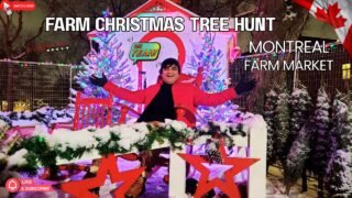 Montreal Christmas Tree Market