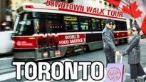 Toronto Downtown Walk With Kapoor Reels