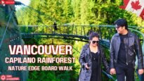 Vancouver Christmas Magic In Capilano Rainforest And Nature Edge Boardwalk