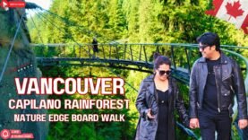 Vancouver Christmas Magic In Capilano Rainforest And Nature Edge Boardwalk
