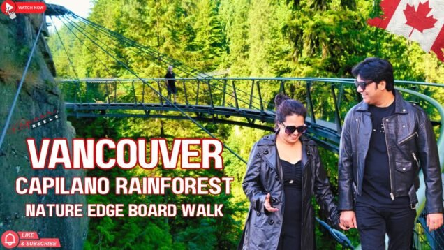Vancouver Christmas Magic In Capilano Rainforest And Nature Edge Boardwalk
